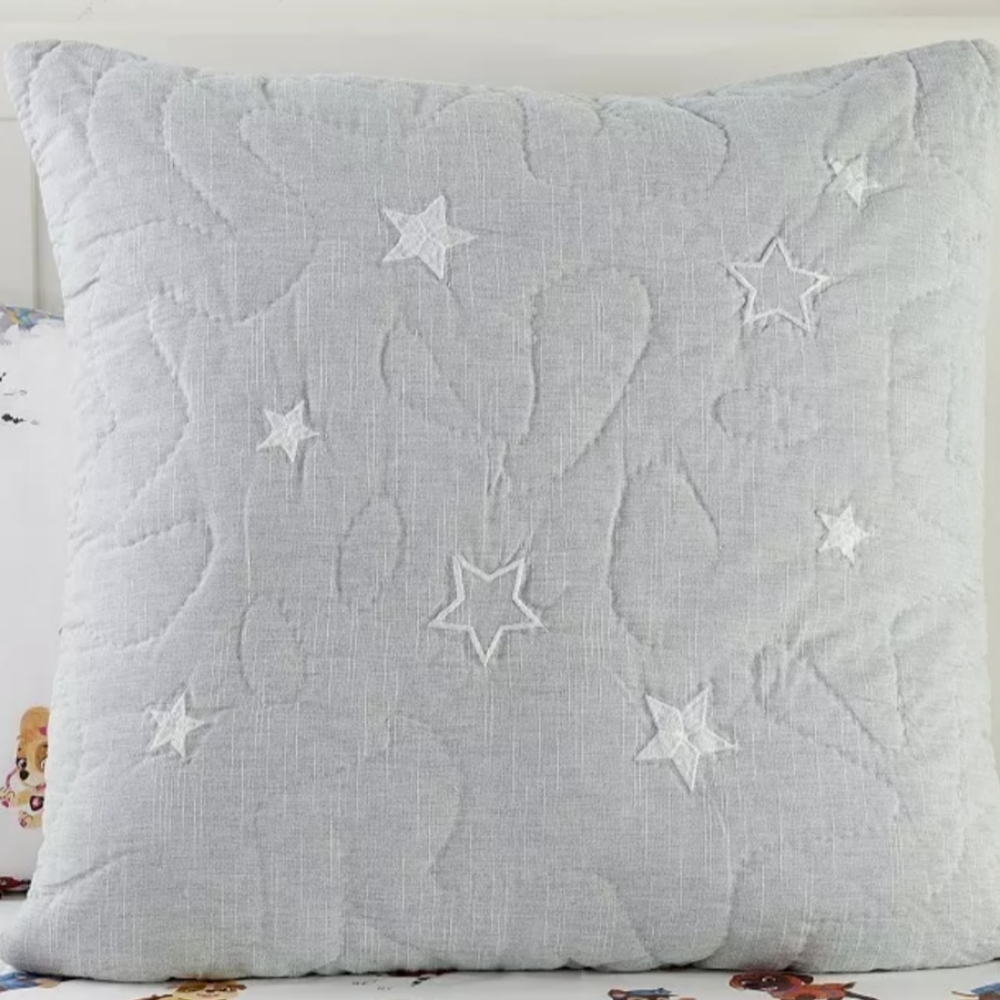 NEW Set 2 Pottery Barn Kids Paw Patrol Quilted Sham Cotton Euro Square 26"x26"